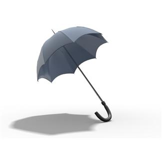 Image of an umbrella